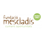 Fundació Mescladís